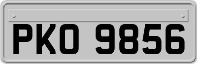 PKO9856