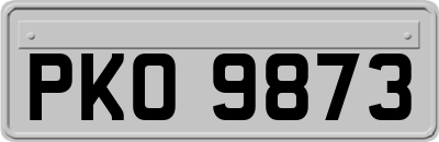 PKO9873