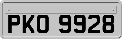 PKO9928