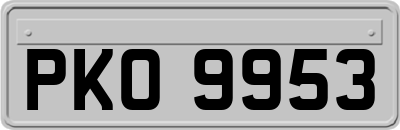 PKO9953