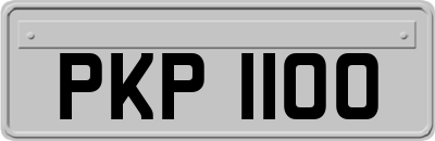 PKP1100