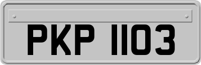PKP1103