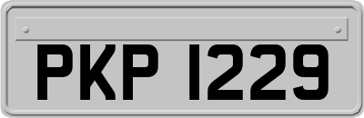 PKP1229