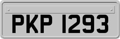 PKP1293
