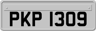 PKP1309