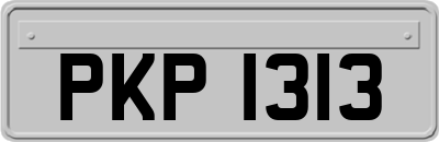 PKP1313