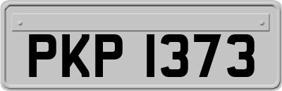 PKP1373