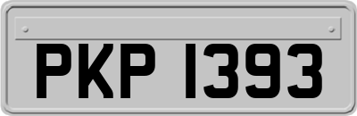 PKP1393