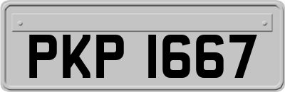 PKP1667