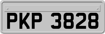 PKP3828