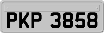 PKP3858