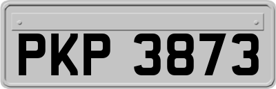 PKP3873