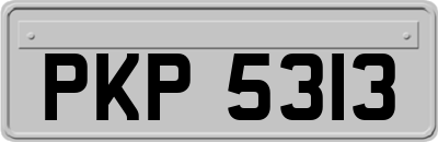 PKP5313