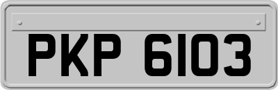 PKP6103