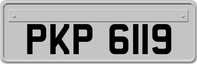 PKP6119