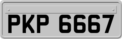PKP6667