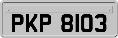 PKP8103