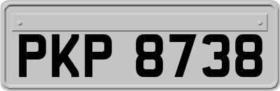 PKP8738