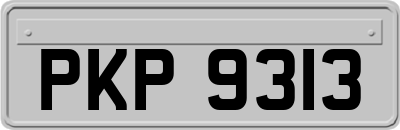 PKP9313
