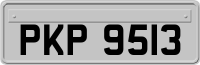 PKP9513