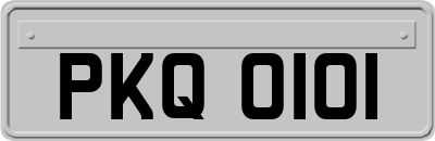 PKQ0101