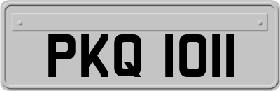 PKQ1011