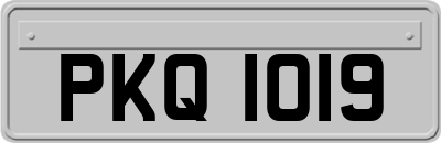 PKQ1019