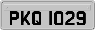 PKQ1029