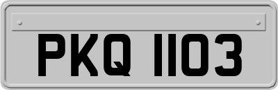 PKQ1103