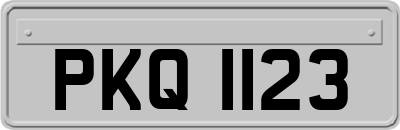 PKQ1123