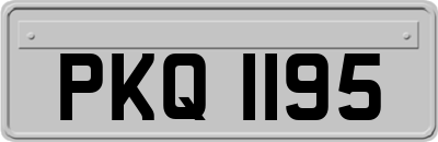 PKQ1195