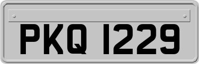 PKQ1229