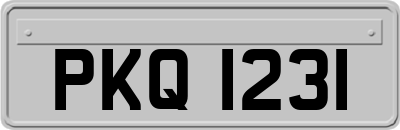 PKQ1231