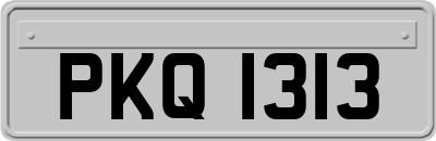 PKQ1313