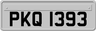PKQ1393