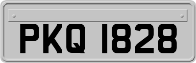 PKQ1828