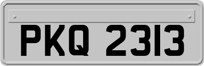 PKQ2313