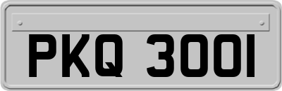 PKQ3001