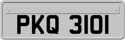 PKQ3101