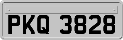 PKQ3828