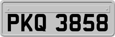 PKQ3858