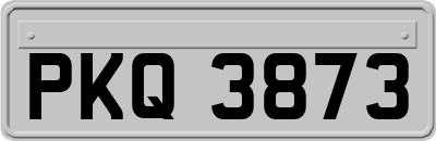 PKQ3873