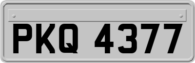 PKQ4377