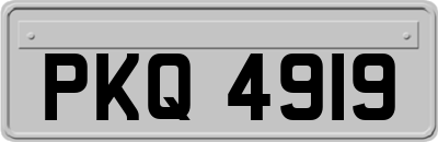 PKQ4919