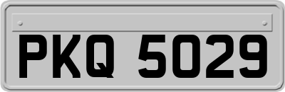 PKQ5029