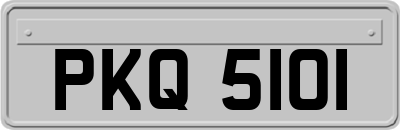 PKQ5101