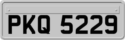 PKQ5229
