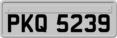 PKQ5239