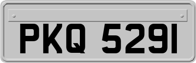 PKQ5291