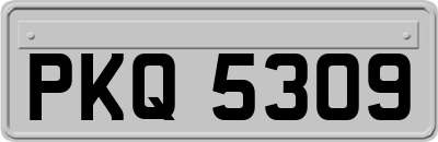 PKQ5309